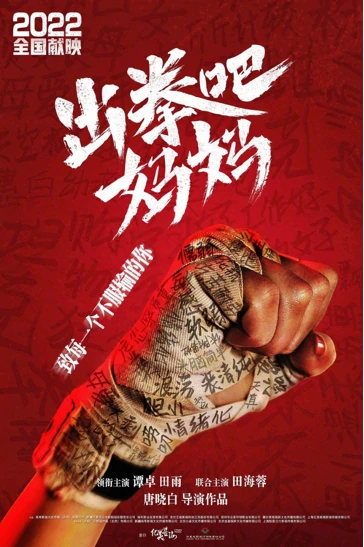 项目名称17