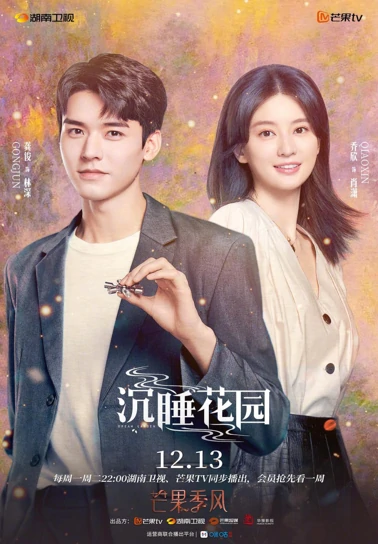 项目名称29
