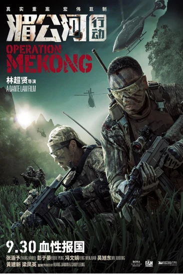 项目名称9